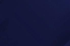 罗体：迪巴拉因发烧缺席罗马的训练，多夫比克恢复跑步练习