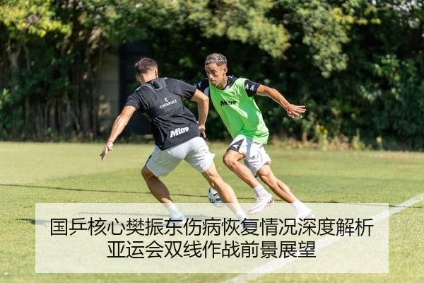 国乒核心樊振东伤病恢复情况深度解析 亚运会双线作战前景展望