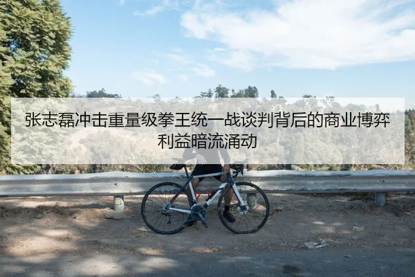 张志磊冲击重量级拳王统一战谈判背后的商业博弈利益暗流涌动
